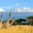 Urlaub in Gambia – ein Geheimtipp